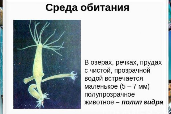 Кракен настоящее зеркало
