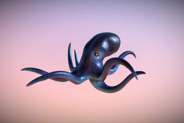 Kraken маркет whitenet только через tor скачать