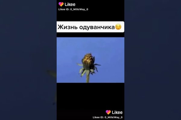 Модератор на кракене