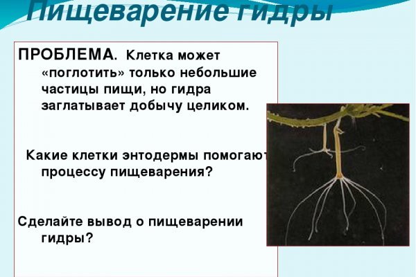 Кракен маркетплейс krk market com