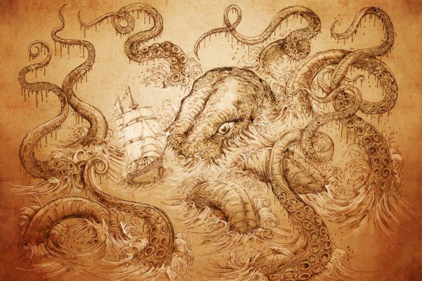 Kraken whitenet store