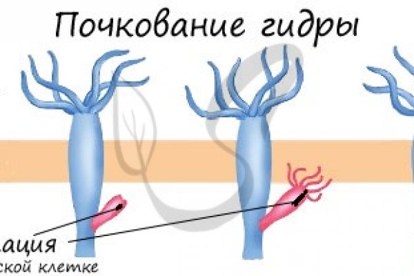 Kraken сайт вход
