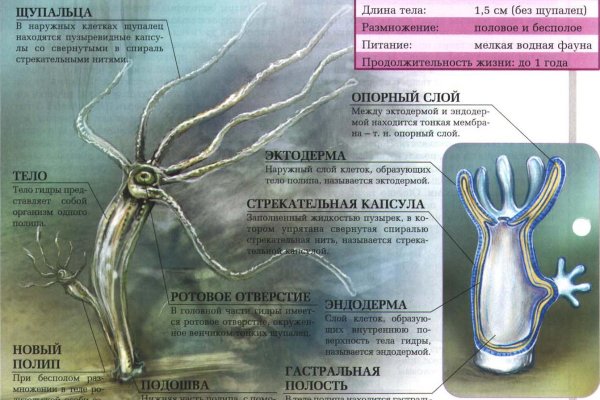 Kraken сайт tor