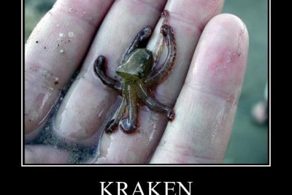 Kraken ссылка актуальная