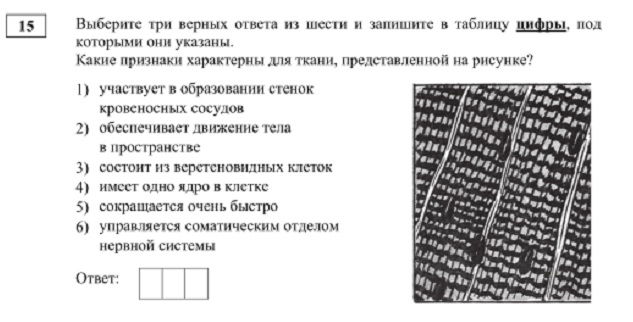 Почему кракен перестал работать